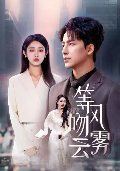 雾港迷局 星星影院悬疑电视剧在线观看